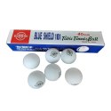 Piłeczki do Tenisa Stołowego Ping Ponga Białe SHIELD 101 40 mm 6 szt.