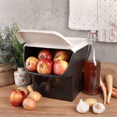 Pojemnik na Warzywa Piętrowany 13 L VILDE z Klapą Zmywarka 34 x 27,5 cm