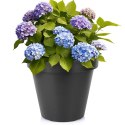 Doniczka ogrodowa plastikowa czarna okrągła 39 cm