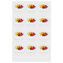 Etykiety Samoprzylepne na Słoiki ORION 36 szt. Okrągłe z Owocami Kolorowe