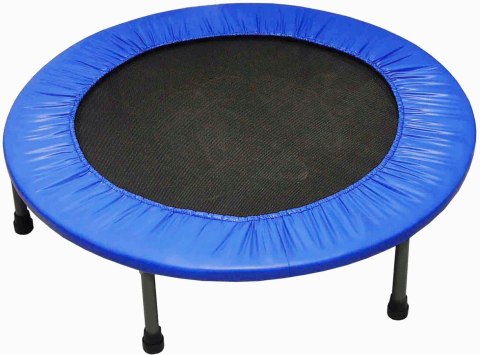 Trampolina Ogrodowa Fitness Domowa dla Dzieci KUBISPORT 100 cm